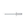 Set 50 Rivetti In Alluminio Graf Per Portatarga - Argento