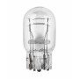 INDICATOR BULB 24V 21W M-TECH (Packs of 10pcs.) (Price refers