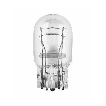 INDICATOR BULB 24V 21W M-TECH (Packs of 10pcs.) (Price refers