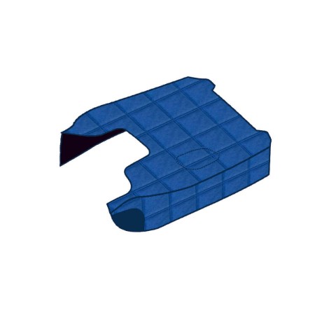 CARPET ENGINE SCANIA SERIES R FROM '10 TO '12 - SERIES R