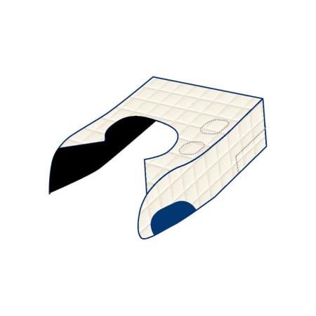 TAPIS CENTRAL DAF XF 95