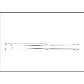 Profili Laterali Cabina Inox Ford F-Max