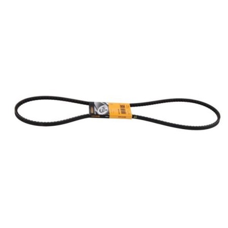 Multiribbed Belt Scania Series 4 - R - 1800533 - 1888465