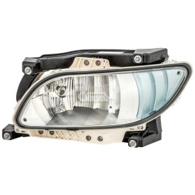 Fendinebbia Anteriore Sinistro DAF XF 106