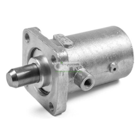 Zylinder Verriegelung Achse Anhänger Bertocco C311 5000