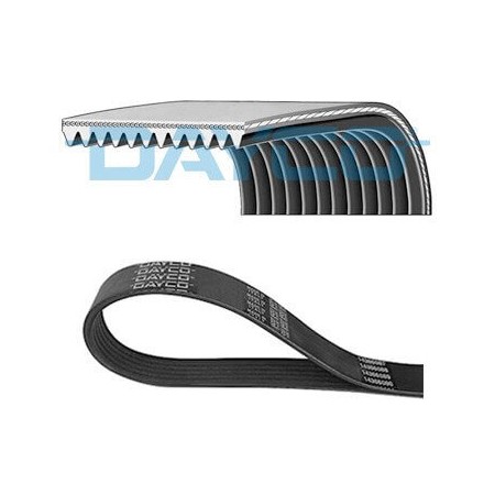 KEILRIPPENRIEMEN IVECO EUROTRAKKER