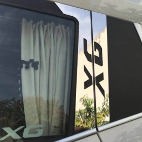 Piantoni Portiera In Inox Daf Xg