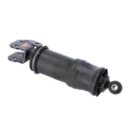 Ammortizzatore Cabina Posteriore Renault Premium