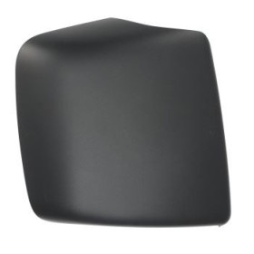 Cover Wide Angle Mirror Right Scania Series R - S 2119463