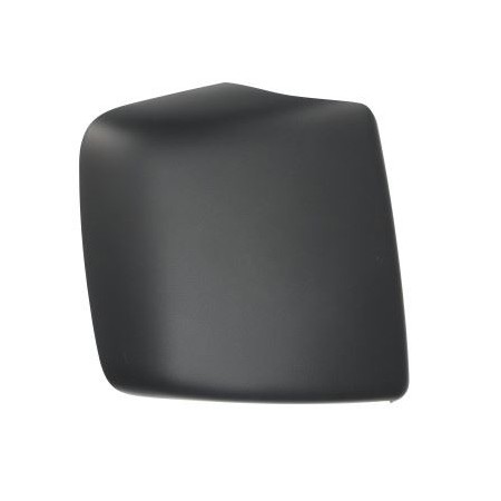 Cover Wide Angle Mirror Right Scania Series R - S 2119463
