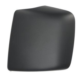 Cover Wide Angle Mirror Left Scania Series R - S 2119451