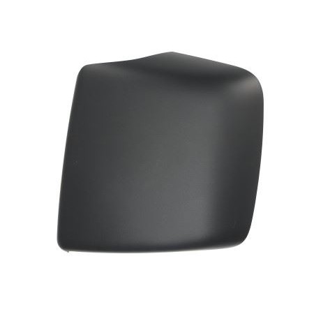 Cover Wide Angle Mirror Left Scania Series R - S 2119451