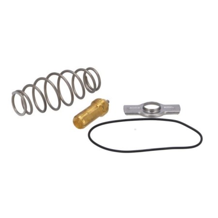 Kit De Réparation Thermostat Iveco Stralis Euro 6 5802061910