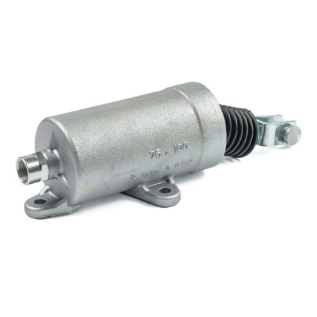Brake Cylinder Bertocco C4031000