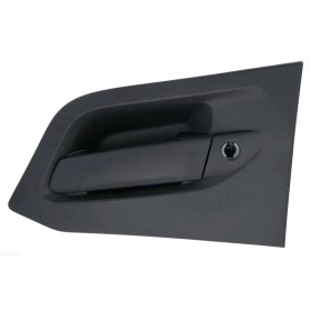 Manija De La Puerta Izquierda Iveco S-Way 5802244813