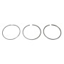 Piston Ring Kit Scania R 2030941 - 2030943 - 1880981