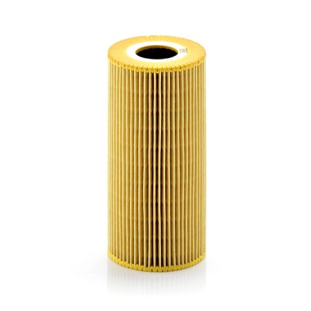 Filtro Olio Man TGL - TGM Mann Filter Hu951X - 51055040105
