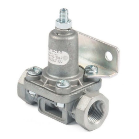 Bertocco Valve V6090062