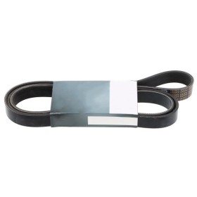 Timing Belt Daf XF 106 2382295