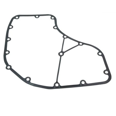 Guarnizione Carter Distribuzione Iveco Daily 504380259