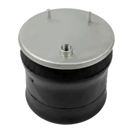 Luftfederbalg Rückseite DAF CF - XF 105 1794428