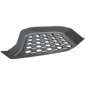 Grille Marchepied Inférieure Droite Daf XF - XG - XG+ 2237311