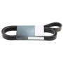 Cinghia Distribuzione Daf XF 106 1943454 - 1856805