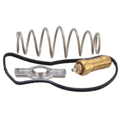 Kit Riparazione Termostato Iveco Stralis Euro 6