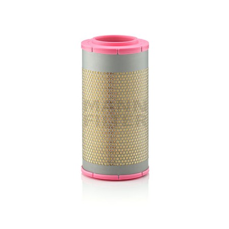Filtro Aria Daf Lf | Mann Filter C225801
