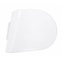 Tappo Paraurti Destro Verniciato Bianco Scania Serie R - S - 2128512