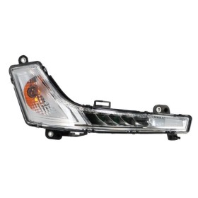 Indicatore Direzione - Freccia Destra Renault D 7482926482