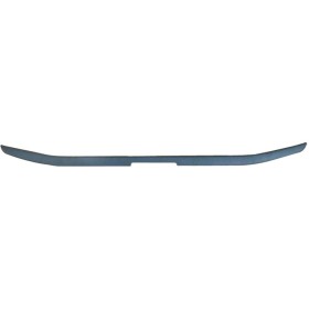 Lower Trim Strip Volvo Fm Euro 6, 82455156