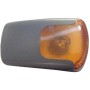 Seitenblinker Rechts‑Links Mercedes Axor, 0008200777