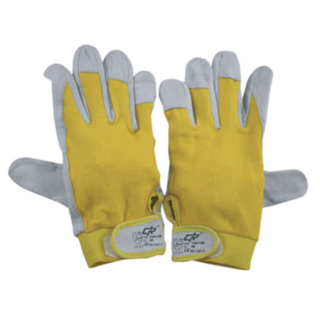 LEDERHANDSCHUHE CANVAS RÜCKSEITE