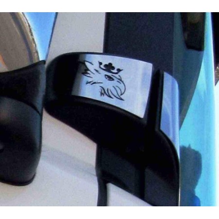 SIDE PROFILES GLASS DECORATION "GRIFFIN" STAINLESS STEEL SCANIA R