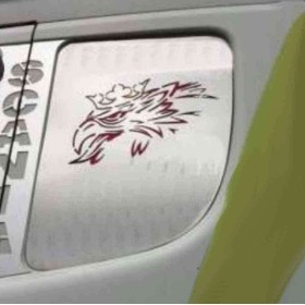 Copertura Laterale Porta In Acciaio Inox Scania