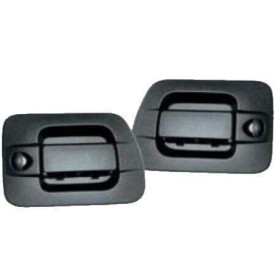 DOOR HANDLE KIT RIGHT - LEFT WITH KEYS IVECO STRALIS