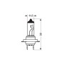 COPPIA LAMPADINE H7 - 70W 24V ALOGENE EFFETTO XENON BLUE +50%