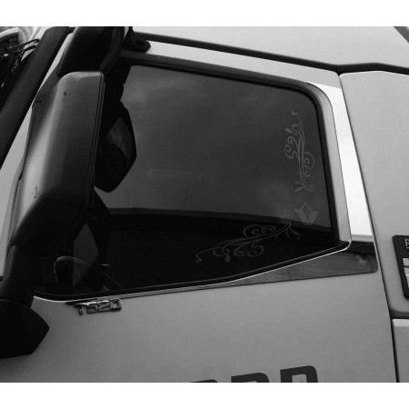 PANELES DE PUERTA DE ACERO INOXIDABLE RENAULT T