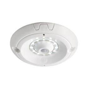 Luz De Techo Interior Led 12/24V Con Sensor De Movimiento