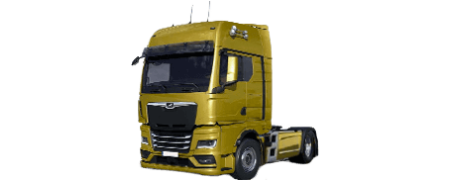 Accesorios acero inoxidable man tgx euro 6 2020